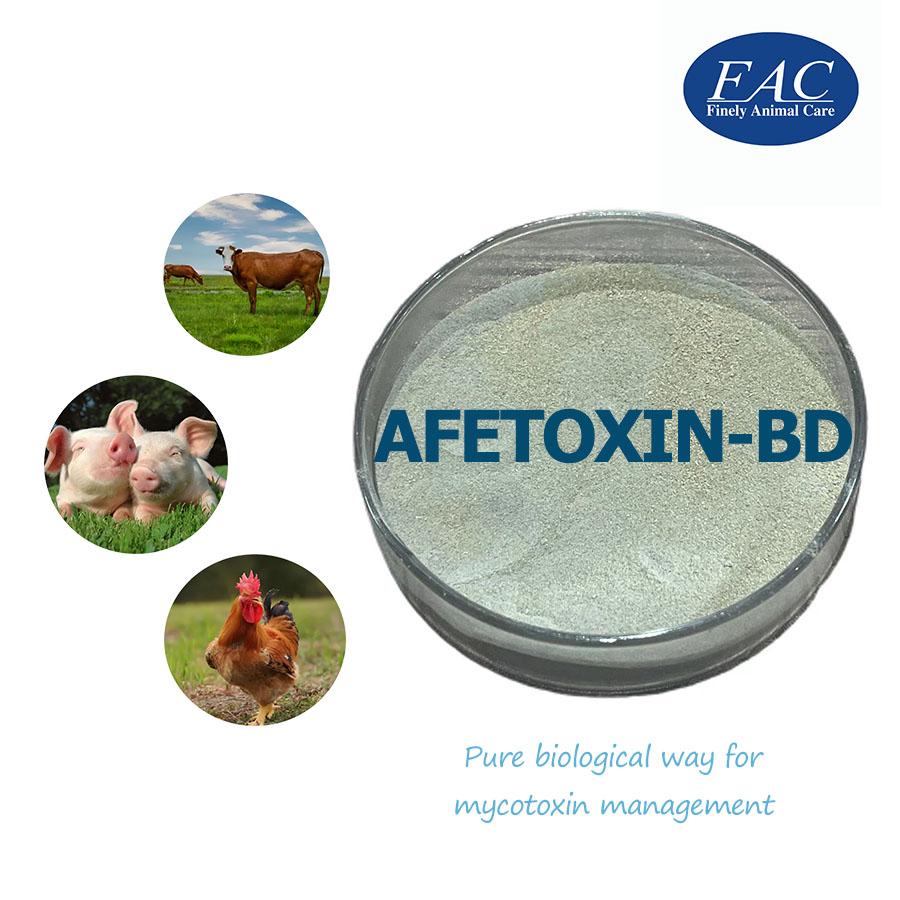 Degradation of Mycotoxins -Afezyme Bd