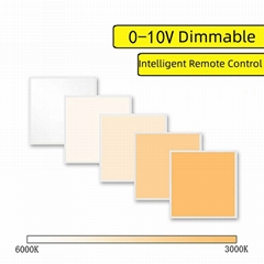 0-10V Dimming Flat Panel Light 2x2 1x4 2x4 Led Backlit Panel Light For Supermark