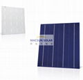 157mm Poly Crystalline Solar Cells