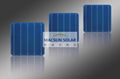 157mm Poly Crystalline Solar Cells