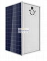 72 Cells Poly Crystalline Solar Modules