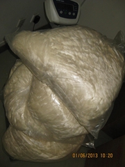 Tussah silk sliver