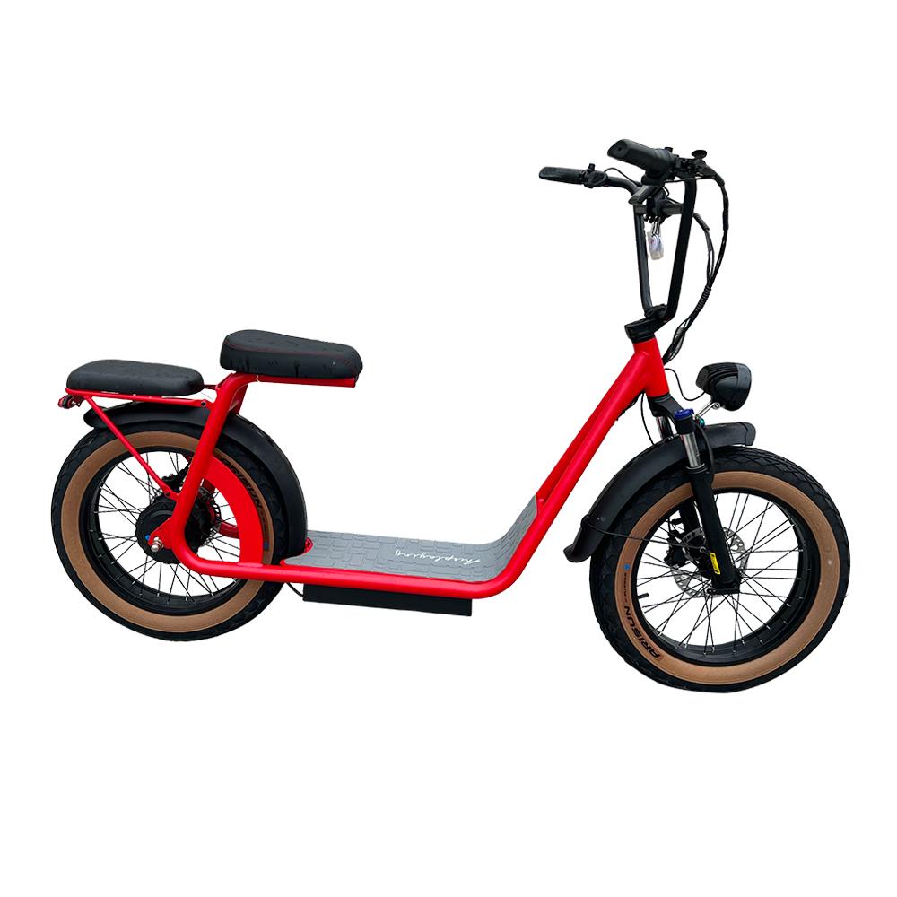 20Inch 15Ah Lithium Battery Aluminum Alloy Electric Scooter