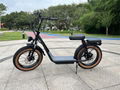 20Inch 15Ah Lithium Battery Aluminum Alloy Electric Scooter 4