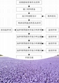 冷拌瀝青與瀝青的區別