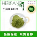小球藻蛋白粉