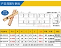 Rivet type beryllium copper spring 4