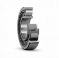 Single Row Cylindrical Roller Bearings NU 1034 ML