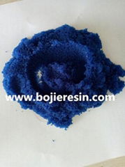 Phosphorus Removal Resin