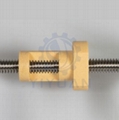 Customized Lead Screw