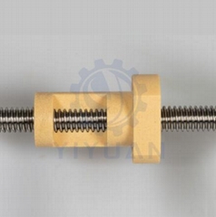 Customized Lead Screw