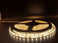 12V&24V 2835 SMD LED Flexible Tape Light