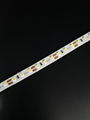 12V&24V 2835 SMD LED Flexible Tape Light 3