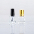 Coloured Small Design Glass Nail Polish Bottles with Cap 3