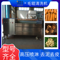 香芋毛輥清洗機 U型滾筒清洗去