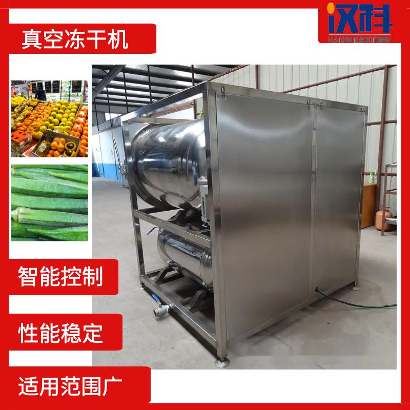火龙果冻干机 中药材低温干燥设备 全自动PLC控制真空冻干机 4