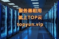 40核64G內存100M大帶寬