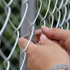 Durable Chain Link Large Dog Kennel Galvanized Outside