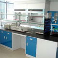 Modular Steel Laboratory Casework