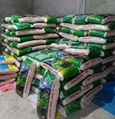 Rice 1