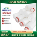 厂家定制40英寸亲水性PTFE折叠滤芯聚四氟乙烯无菌试剂药品过滤芯