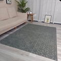 Shu Velveteen Rugs For Living Room