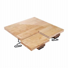 portabel basketball sport wood floor