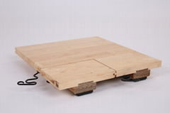 portabel system maplebirch for basketball indoor court