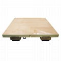 New arrival portable wood floor approve FIBA 4