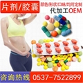 片劑泡罩壓板OEM代加工 人蔘牡蠣片白芸豆海藻藥食同源片單粒泡罩