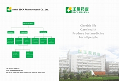 ANHUI BBCA PHARMACEUTICAL CO.,LTD ANHUI BBCA PHARMACEUTICAL CO.,LTD
