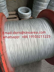 Galvanized Steel Wire  Rope china factory supplier 