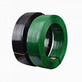 PET Plastic Steel Belt