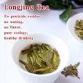 Longjing Tea 3