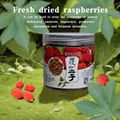 medicinal raspberries（Rubus chingii Hu）