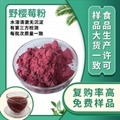 SGS验厂不老莓粉散装现货原料