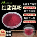SC工厂免费拿样甜菜根粉现货原