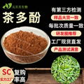 壹贝子实力工厂行业精选绿茶提取物现货原料批发40%-98%茶多酚