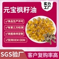 SC工厂元宝枫籽油散装元宝枫籽
