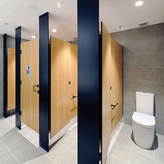 Factory direct sale shower room  toilet partition cubicle