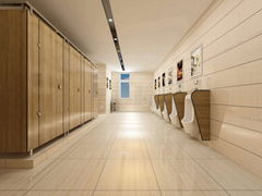 12mm Board HPL Laminate Public Toilet Partition