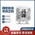 WILDEN威爾頓氣動隔膜泵P