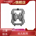 威尔顿气动隔膜泵T8/WWAAB/WFS/WF/WF/0014水处理往复泵2寸