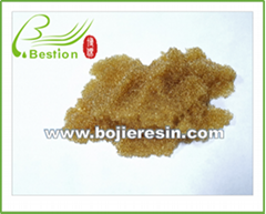 Phosphorus Removal Resin