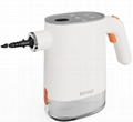 Eco-friendly & Deep-cleaning Steam