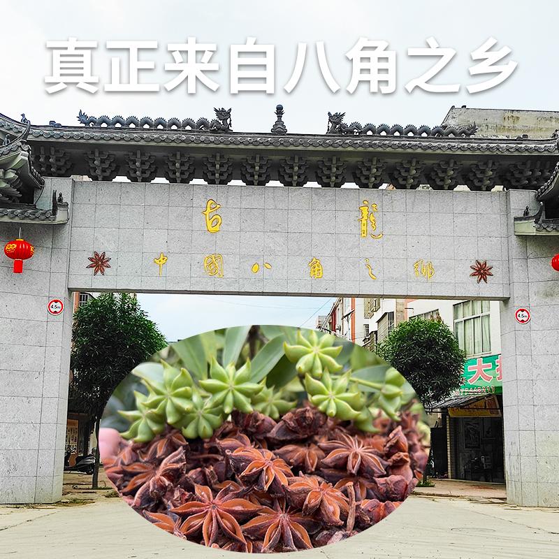 八角大料自種直銷 廣西特產八角 原產地直銷 3
