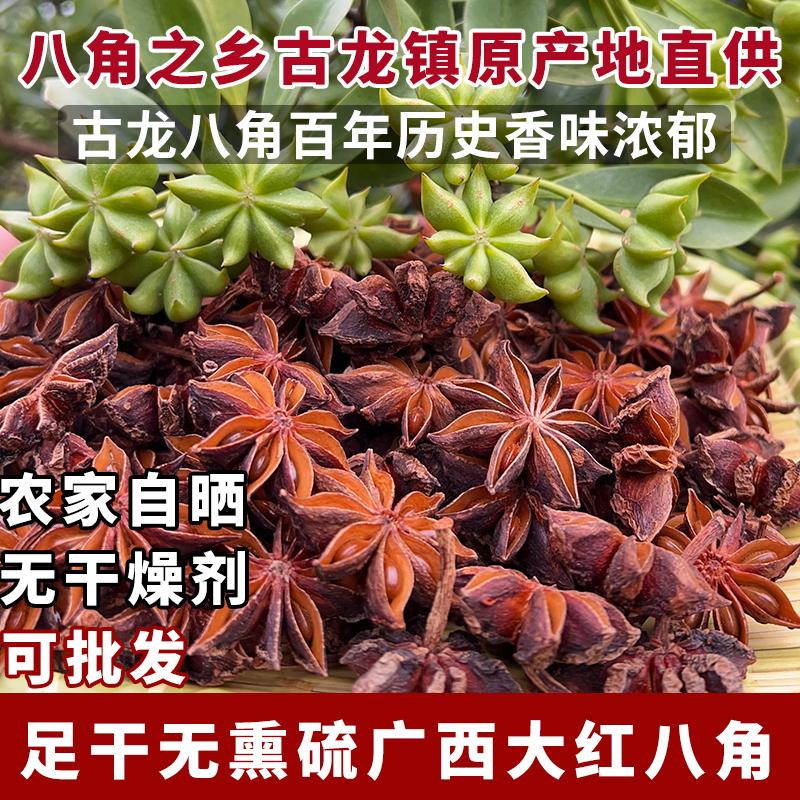 八角大料自種直銷 廣西特產八角 原產地直銷 2