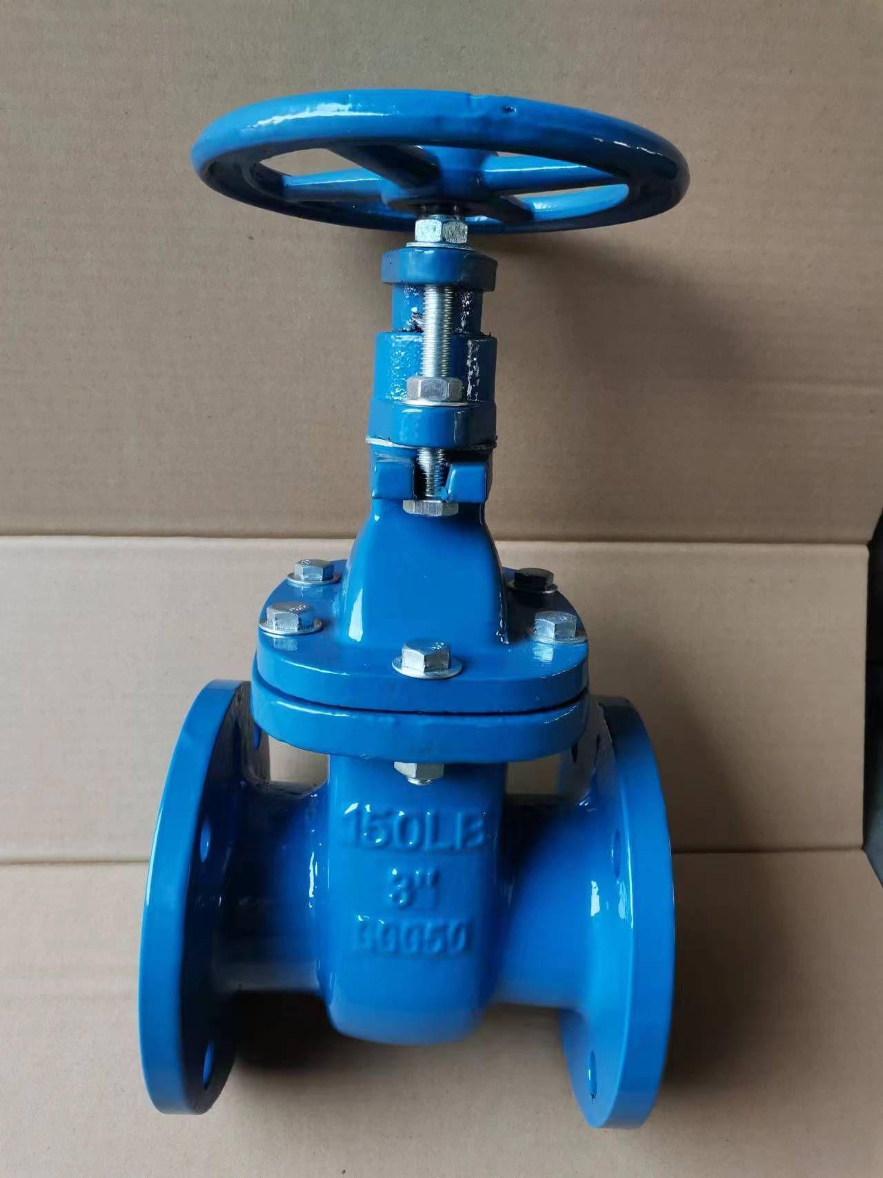 (ANSI) Cast Iron NRS Gate Valve 2