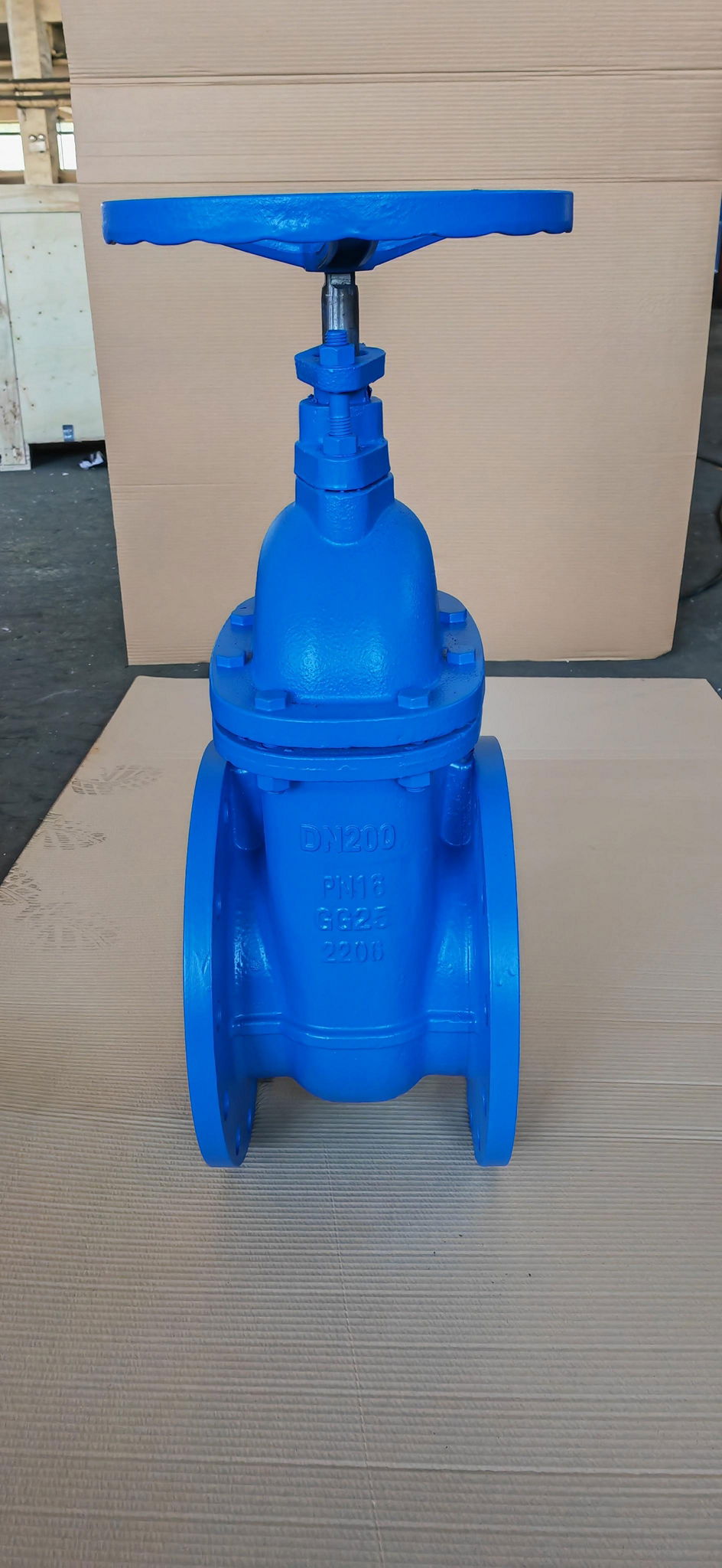 (DIN) Cast Iron Gate Valve (NRS)