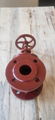 (DIN) Cast Iron Gate Valve (NRS) 3